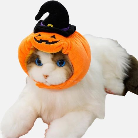 Halloween-Kostüm für Haustiere – Kürbishut für Hunde mit Hexenhut – verstellbare Katzenkopfbedeckung – lustige Geister-Kopfbedeckung für Hunde – niedliche Partykleidung für Haustiere (1/5)