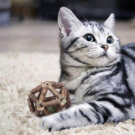 Mini balle à cataire mignonne, jouet interactif pour chat, nettoie les dents, balle en bois à la cataire saine, accessoires pour animaux (1/2)