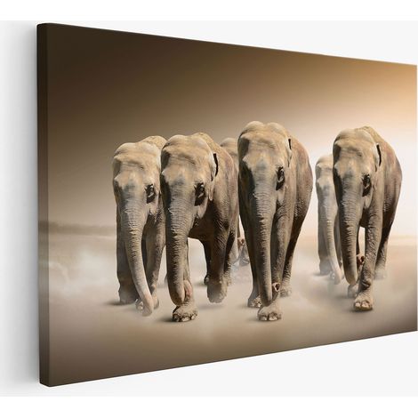 Tableau toile - Éléphants (1/2)