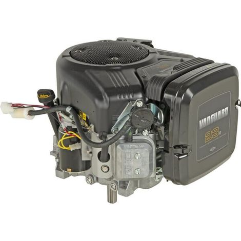 Moteur BRIGGS & STRATTON 3867770143G1