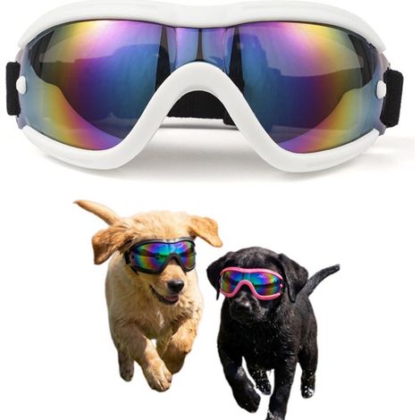 Lunettes pour chien avec protection UV400 pour une utilisation en extérieur - lunettes en TPU anti-impact pour le vélo, la neige et les voyages en voiture, avec monture rembourrée et sangle réglable, (1/5)