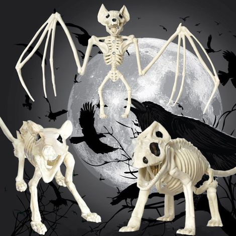 Squelette de Chauve-Souris - Ulisem - Décoration Halloween - Réaliste - Matériau ABS (1/4)