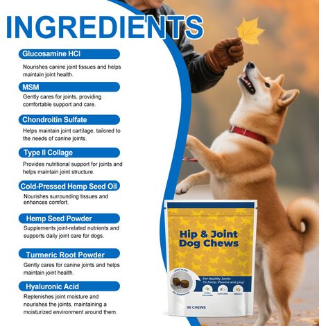 Granulés mous pour les articulations des hanches de chien, pour un soin et un entretien doux et confortable. Soin quotidien des articulations. -- 50 comprimés à croquer (1/5)