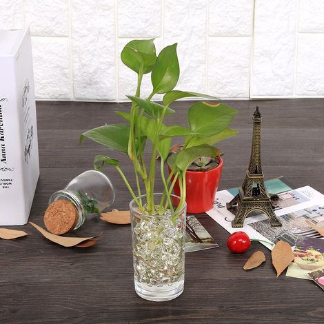 3000 billes de gel transparentes pour plantes aquatiques, fleurs, cristaux, terre, boue, perles d'eau, décorations de mariage. (1/5)