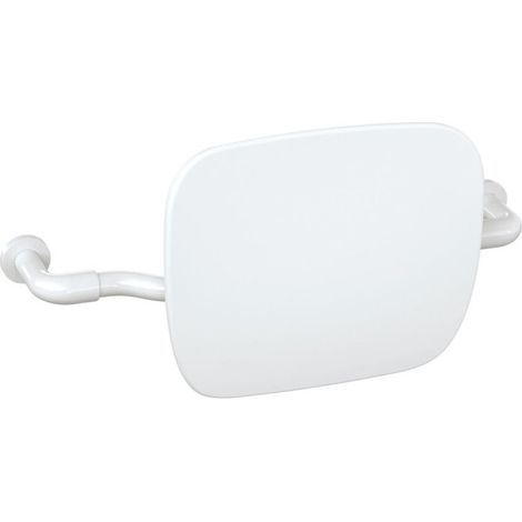 HEWI 802.51.90060 SD Appui-dos LifeSystem (1/2)