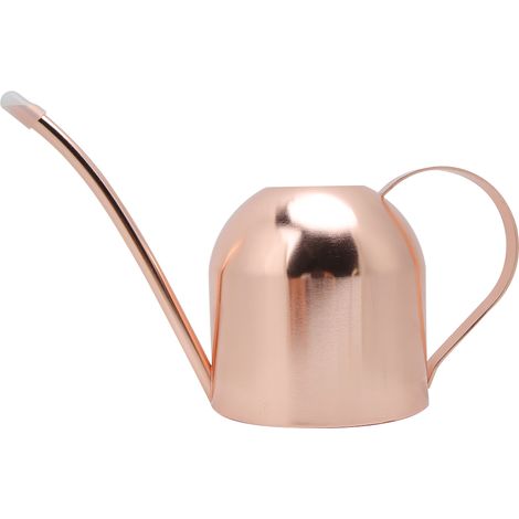 Arrosoir en acier inoxydable de 1000 ml, pot à large ouverture, pour fleurs et plantes de jardin. (1/5)