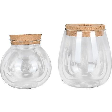 2 pots de fleurs en verre (1/3)