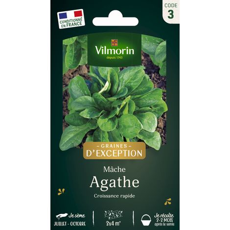 Vilmorin - Mâche Agathe - SDJ (1/2)