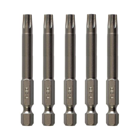 Torx Bit TX40 Lang 89 mm - Pro 10 Stück