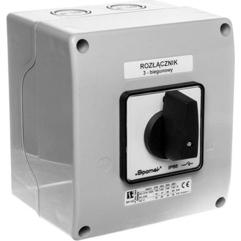 Interruttore a camme 0-1 3P 100A in alloggiamento, manopola nera SK100-2.8211OB18