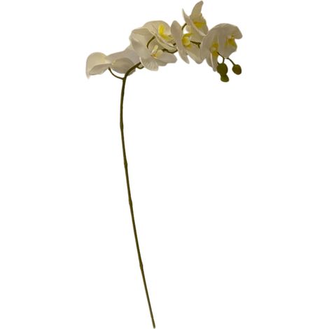 EDG Enzo De Gasperi Orchidea Phalaenopsis Olis Ramo 3D x7 Artificiale H 85 Cm White