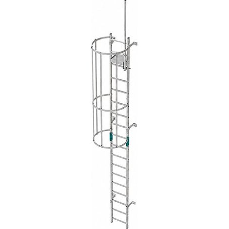 Echelle crinoline - Hauteur à franchir de 3,18 à 4,02m - CRINO-ST/002 (1/5)