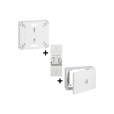Legrand - Disj. de branchement EDF 15/30/45A Instantanu00e9 + Platine + Habillage 18 Mod. Avec Porte - Ru00e9f. : 401000+401191+401189 (1/5)