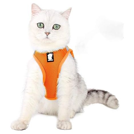 AGE Porte-chat Porte-chaton réglable Porte-chat et laisse Set Pet Cat Imperméable Réfléchissant Respirant Doux Maille Orange Taille L (1/4)