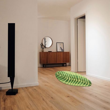 Tapis de sol pour entrée, chambre, salon, table basse, salle de bain, couverture de lit (1/5)
