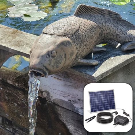 Kit fontaine carpe filtrante avec pompe solaire directe 2500L - 50W (1/5)