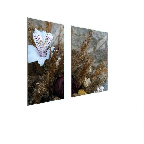 PLACA PROTECTORA DE VIDRIO 75x52 ORQUÍDEA (1/5)