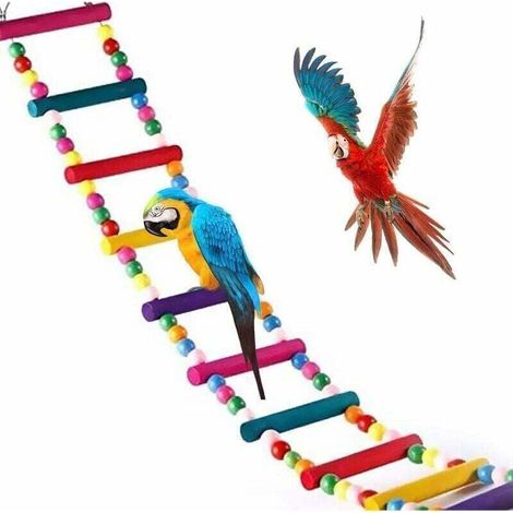 Jouets pour Oiseaux pour Perroquet, échelle, balanoire, Dressage Pont Arc-en-Ciel pour perroquets, perruches, Conures, cokatoo (1/4)