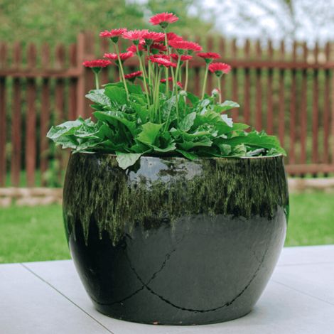Vaso ROMULUS 42x30cm nero e verde (1/5)