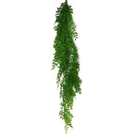 100cm Hanging String of Pearls Fern Plant Light Green (1/5)