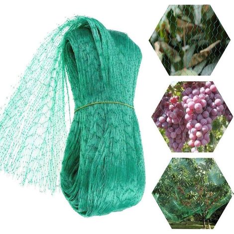 Filet Anti-Oiseaux - Maille Plastique 5 x 20 M - Pour Arbres Fruitiers Jardin Potager Ferme (1/5)