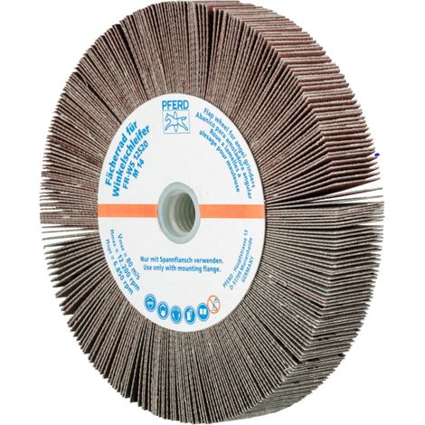 PFERD TOOLS Lamellenschleifrad für Winkelschleifer FR WS Ø 125x20mm M14 A240 universelle Anwendung 2 Stk (1/4)