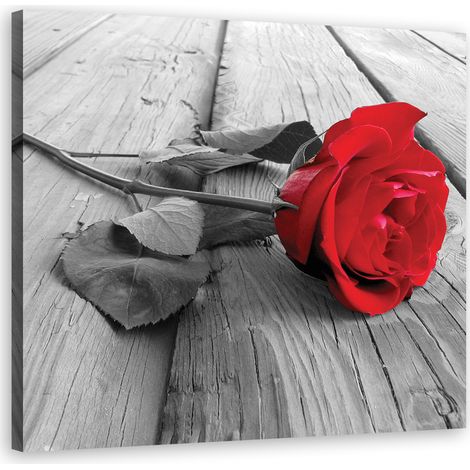 Tableau sur toile rose rouge 40x40 (1/5)