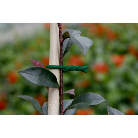 NORTENE Lien mousse BIFLEX pour plantes fragiles - ø 3,5 mm