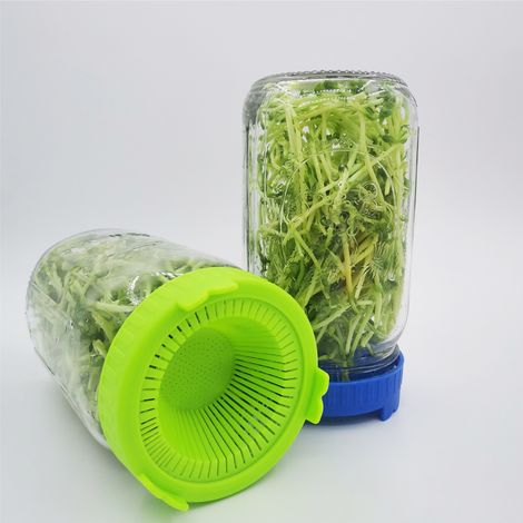 Lot de 2 grilles en plastique pour germes de haricots, adaptées aux bocaux Mason à large ouverture - idéales pour faire germer des haricots, de la luzerne, etc. (1/5)
