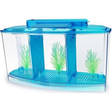 Mini aquarium d'élevage/bac à poissons avec boîte d'isolement d'élevage à trois compartiments en acrylique LED, compatible avec les petits poissons, bleu. (1/5)