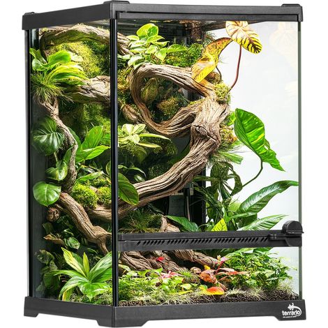 Terrario de cristal de 20x20x30 cm con base impermeable para reptiles y anfibios. (1/5)
