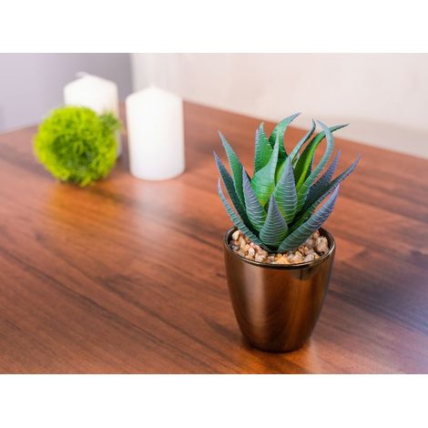 Sukkulente MagicHome S15643, 17 cm, Blumentopf - Kunststoff, golden, künstlich