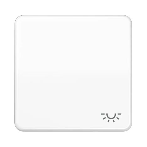 Jung Tecla 1 vía, símbolo luz, Duroplast, Serie CD, blanco alpino CD 590 L WW