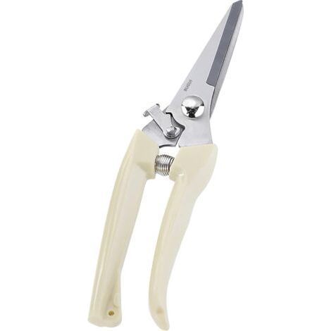 sécateur Ciseaux de jardin elagueuse outils jardinage ciseaux jardinage elageuse fournitur (1/5)