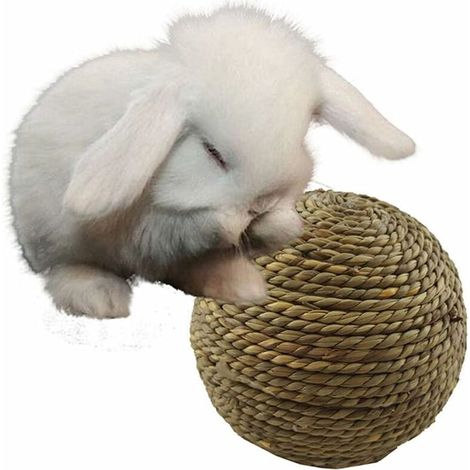 Boule d'herbe Naturelle pour Animaux de Compagnie à macher pour Jouets de Nettoyage des Dents pour Petit Chat Rongeur (1/2)