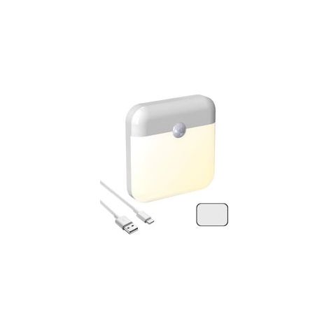1 x Lampe à détection de mouvement rechargeable par USB (se branche pour la recharge)