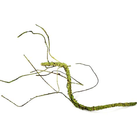 BioBranch Green Liana S per terrario 25-45 cm (1/2)