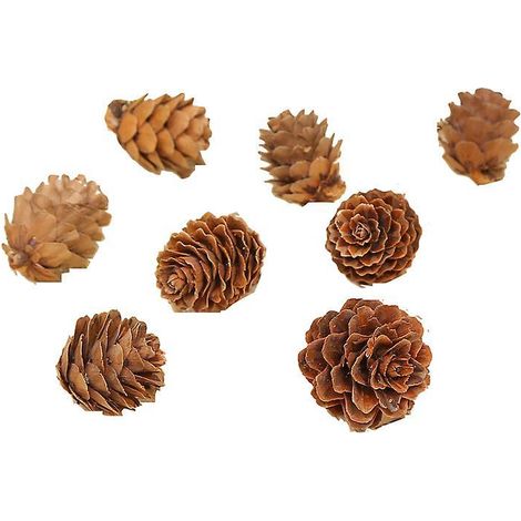 32pcs1-18cm Pomme De Pin Dcorations De Nol Suspendues Ornements Cratifs Accessoires De Tournage (1/4)