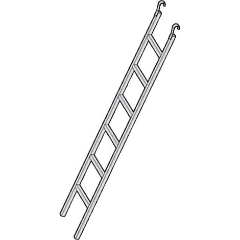 Altrad – Échelle d'accès en acier galvanisé 8 kg – Charge maximale 150 kg – Installation facile avec système d'accrochage à 360°