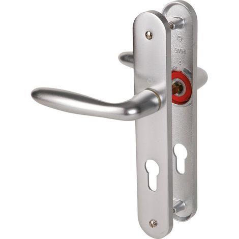Hoppe Et Cie – Poignée de porte d'entrée à cylindre – Entraxe 195 mm – Épaisseur de porte 48 à 57 mm – Finition gris argent – Béquille double clé I