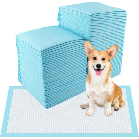 Alaise Tapis Absorbant Chien, 30x45cm Tapis de Propreté Éducateur Rapidement Infiltrant Inférieur Imperméable Anti-Fuite (1/5)