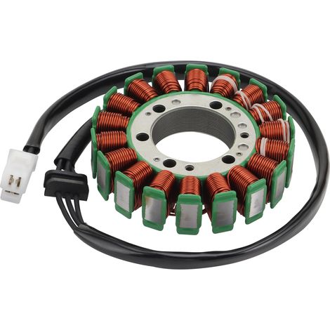 Compatible with Kawasaki ZX600, ZX636, ZX-6RR 2005-2006 motorcycles, ignition stator coil, magneto coil, specifically for superbikes.