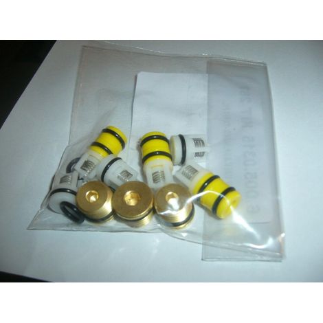 KIT VALVOLE TAPPI POMPE IDROPULITRICI LAVORWASH ORIGINALI 6.005.0315 GIANT 24