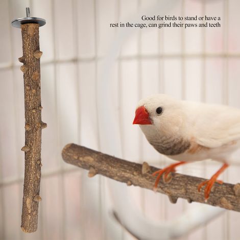 Support en bois naturel pour perroquet, perchoir à mâcher les pattes, jouet à suspendre pour cage (3 x 35 cm) (1/5)