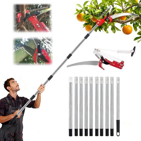 Telescopic Branch Cutter, Manual Pruning Saw, Telescopic Sector Adjustable in Height 5 m, with 10 Aluminium Alloy Poles for Pruning High Branches Palm Trees Shrubs (Blue) (1/5)