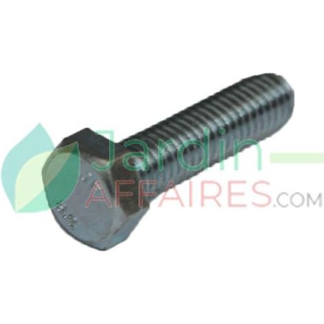 Vis Uni 5739 M 8 x 30 Delmorino 40100029