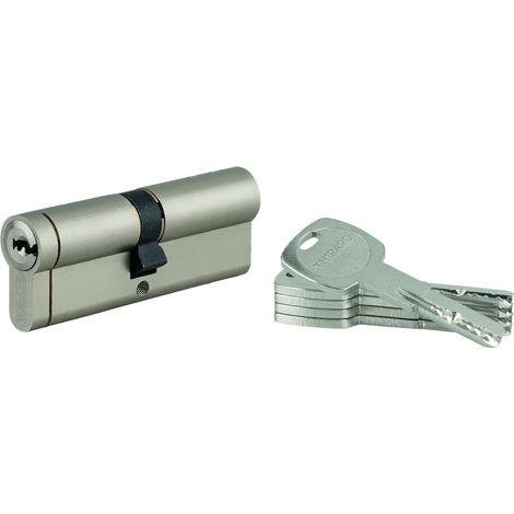 THIRARD - Lot de 10 cylindres Transit 1 45x45mm, nickelé, 5 clés - THIRARD