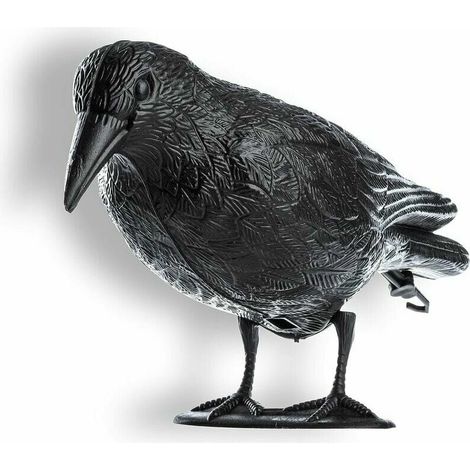 Corbeau Noir, répulsif à Pigeons et répulsif à Pigeons en Plastique, répulsif à Oiseaux, antiparasitaire Naturel, Protection Contre Les Oiseaux agaçants, (1/4)