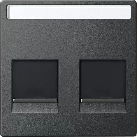 Merten Zentralplatte für Modular Jack 2fach mit Schriftfeld und Staubschutzschieber, anthrazit, System M MEG4564-0414 (1/2)