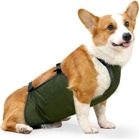 Große Hundeschürze, Bauchschutzweste, wasserdicht, Brustschutz-Lätzchen, Haustierschürze, geeignet für Hündinnen, Corgis, Dackel und Bulldoggen (XL) (1/5)